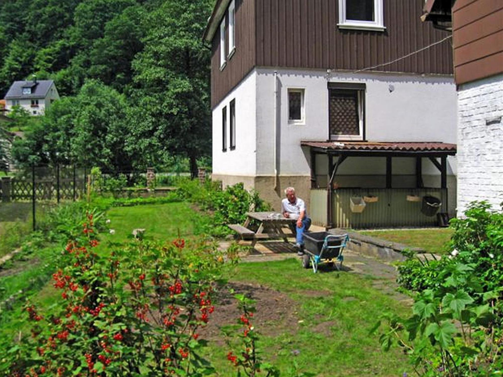 Spacious Group House In The Harz Region Zorge エクステリア 写真
