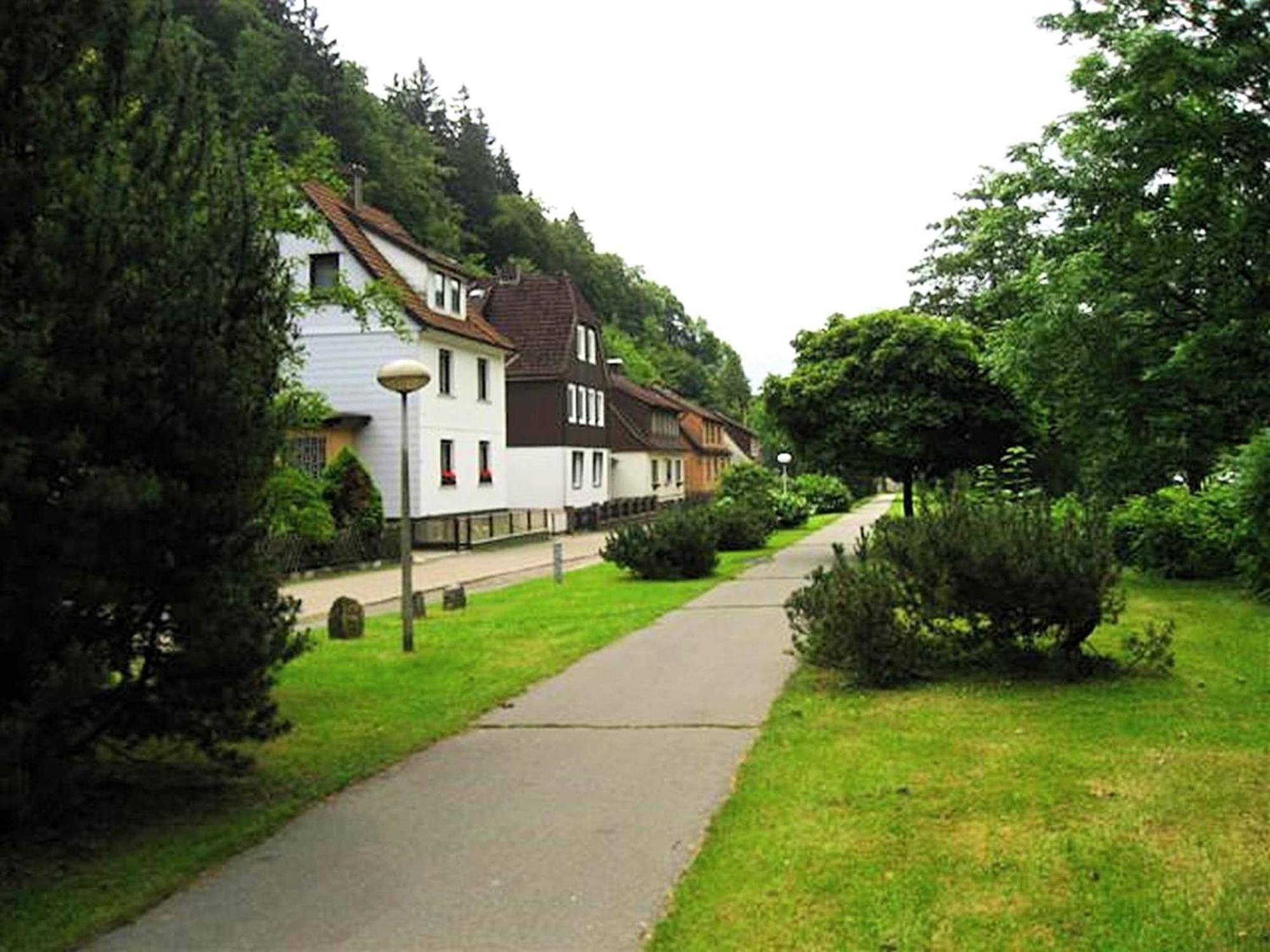 Spacious Group House In The Harz Region Zorge エクステリア 写真