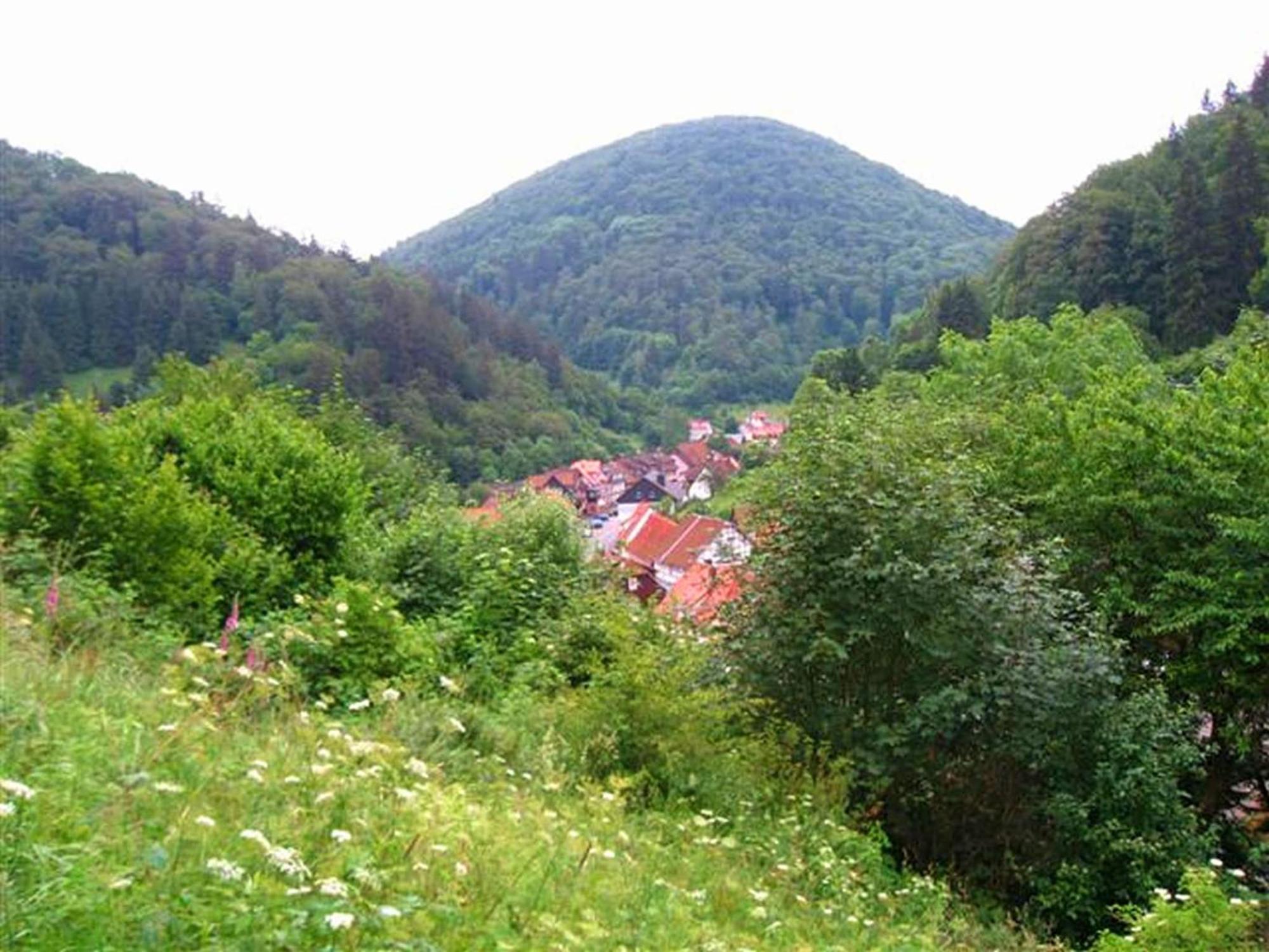 Spacious Group House In The Harz Region Zorge エクステリア 写真